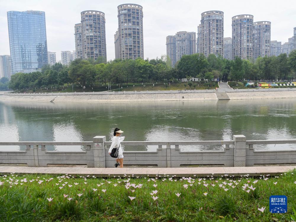 微乐斗地主网页版